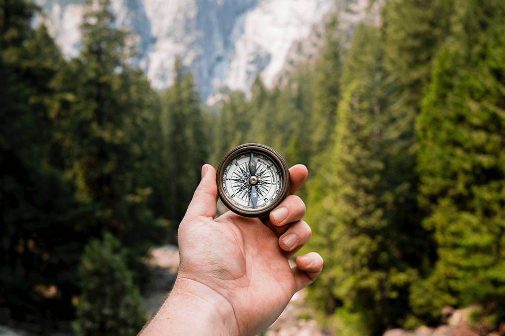 Compass in the woods